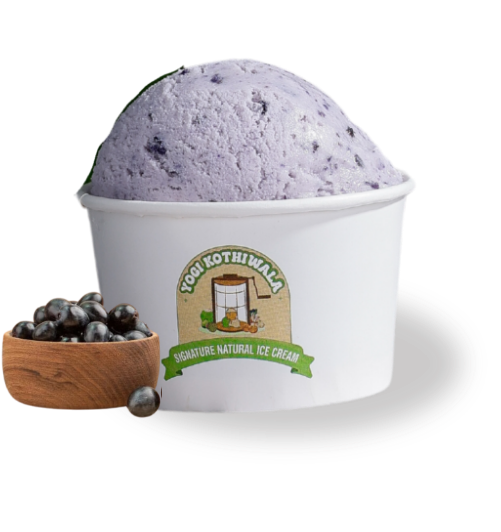 Yogikothiwala Jamun Ice Cream